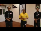 Black Flag Wing Chun Lesson 1: Basic Wing Chun Punch using Maximum Efficiency.