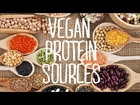 Vegan Protein Sources & Meat Substitutes | Fablunch