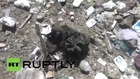 Yemen: Dozens killed in Saudi-led coalition airstrike near Sanaa - reports *GRAPHIC*