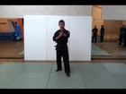Traditional Japanese Martial Arts Ukemi Gata | Yoko Ukemi