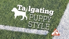 Tailgating: Puppy Style