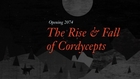 The Rise & Fall of Cordycepts