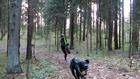 Pirmos canicross varžybos Lietuvoje - Bėk su šuniu 2016