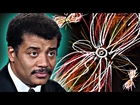 A Brief History of Everything, feat. Neil deGrasse Tyson