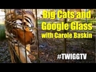 TWIGG #33: Carole Baskin of Big Cat Rescue