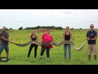 18-Foot Python Captured In Everglades National Park
