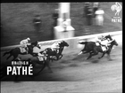Kentucky Derby (1964)