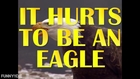 All About Animals - It Hurts To Be An Eagle