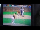 Local Chicago Baseball clip footage (1978)