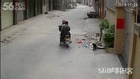 Guy on scooter urban hunts dogs with crossbow