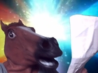 Space Horse discovers a Care Package from Finland