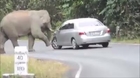 Elephant Slowly Destroy Car- driver escape on time.