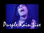 PURPLE RAIN Prince and the Revolution Live EPIC 20 min. with Incredible Guitar Solo 1985