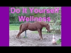 do it yourself wellness