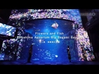 Flowers and Fish - Enoshima Aquarium Big Sagami Bay Tank / 花と魚 - 相模湾大水槽