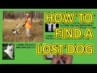 Lost Dog Rescue - How To Find A Lost Dog