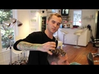 HAIR TUTORIAL: BALAYAGE FOR MEN - BROLAYAGE HAIR COLOR TECHNIQUE - MENS HAIR COLOR