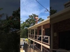 Roof Jump Fail || ViralHog