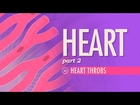 The Heart, part 2 - Heart Throbs: Crash Course A&P #26
