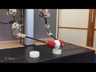 A Hybrid Hydrostatic Transmission and Human Safe Haptic Telepresence Robot