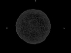CT scan pumpkin, partial 600 microns