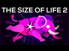 How to Make an Elephant Explode with Science – The Size of Life 2