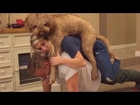 Married Couple And Dog Are Ultimate Gym Team