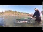 Wild Rivers Fishing and 20 pound Chetco River Steelhead
