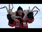 CATCHING CRABS! - Iditarod 2015 [Day 9]