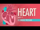 The Heart, part 1 - Under Pressure: Crash Course A&P #25