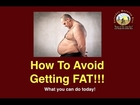 How To Avoid Getting FAT!!  on JOAN DIET BARS