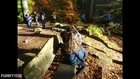 The Hermitage Dunkeld Scotland In Autumn