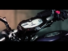 MT-07 2014 - Motorcycles - Yamaha Motor Polska