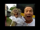 men  copying  monkey style in public