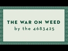 The War on Weed by the Numbers