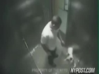 Man Who Beat Dog in Elevator  -  Follow-up (part II)