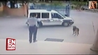 Police shooting a dog in Turkey Video + Picture