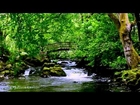 Relax 8 Hours-Relaxing Nature Sounds-Study-Sleep-Meditation-Water Sounds-Bird Song