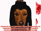 Wellcoda | Hommes Golden Retriever Labrador Big Dog visage Hoodie NOUVEAU Top Design graphique