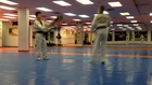 Amazing Taekwondo Kicks/Skills