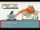 Pokemon Emerald Part 10!!! Forth Gym #Power of the selfie