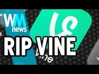 Twitter Cutting Vine?! 3 Things You Need to Know!