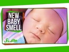Why Do Babies Smell So Good?