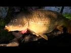 Carl and Alex go to Holly Pools, FULL VERSION - Carp Fishing in France