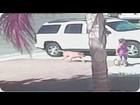 Hero Cat Saves Toddler From Dog Attack