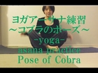 ヨガ アーサナ練習〜コブラのポーズ〜”Yoga asana practice”[Pose of Cobra]