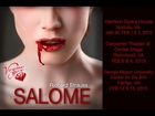 Salome...for Simpletons