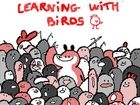 Learning with birds ! Animation
