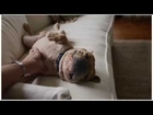 2015 Coldwell Banker TV Commercial: Home's Best Friend