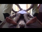 Ayurvedic Body Massage | Body Massage Therapys For Skin & Body